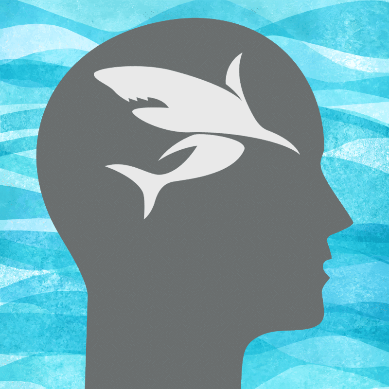 Featured image for “DEO Magazine Feature: Think Like a Shark”