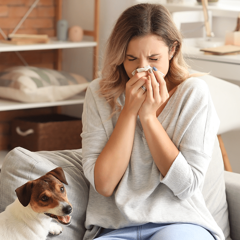 Featured image for “Allergy Season and Your Patients’ Oral Health: What to Know”